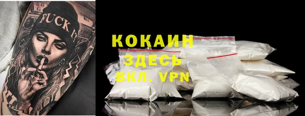 винт Богданович