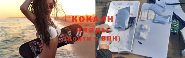 винт Богданович