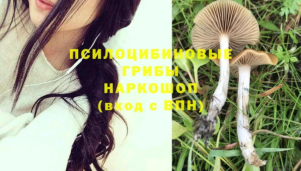 гашишное масло Богородск